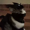 itsavisrays