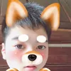 user3z1mxe1pa1