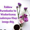 fatxifaraxsan67