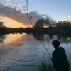 lollo_p0llo