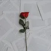 fortunaschild333