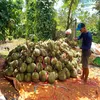 bin_nguyen85