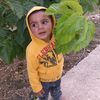 naberali1