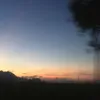 mydung_99