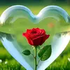 muhammadsead0