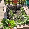 ourhomeandgardenx