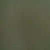 caracollins12345