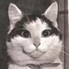 buffins1958