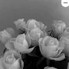 user72929202920202022