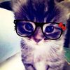 heyits.bella