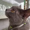 nhacuamon_24