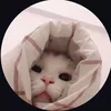 nhims.xinhiu