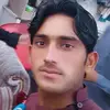manygull6