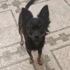 clara_poley