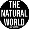 Ugo Troccoli