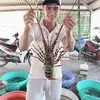 phuoctran448