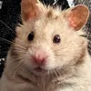 demurestclient2020