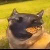 lawzr0