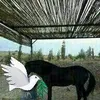 anwarinanwar73