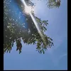 aleksanndra99