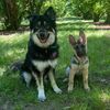 the_sheppy_sisters