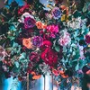 user9025701161989