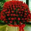 omyasir14