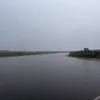 prkvvlive