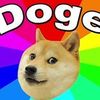 doge82