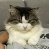 kielaa_m