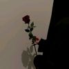 .nazeer3