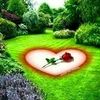 caaishocuud7