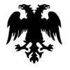 albo19913010