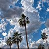 _sunny360