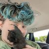 catcademic