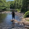 dannyforest2
