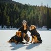 roamingretrievers