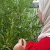 m19._.02