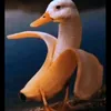 scotenna_pecore