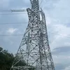 viet12112000