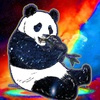 panda_piter