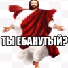 .honey.kitten_