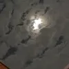 mi.luna313