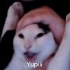 harumapache
