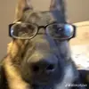 urmoma.com420