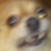 mikeaplayer11