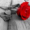 ssema_nur_00