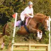 shelleymilburn67