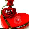 alok1333