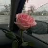 sherin_006